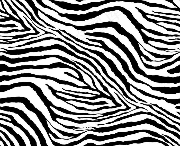 斑马纹图片