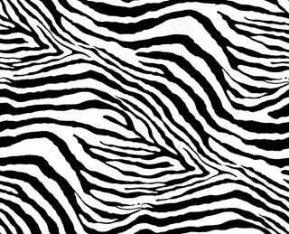 斑马纹图片
