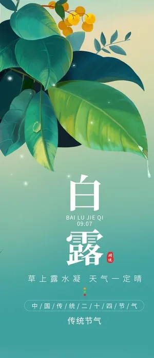 白露图片 白露图片