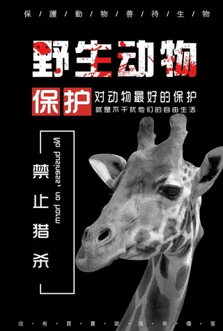 保护野生动物图片