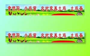 土鸡图片