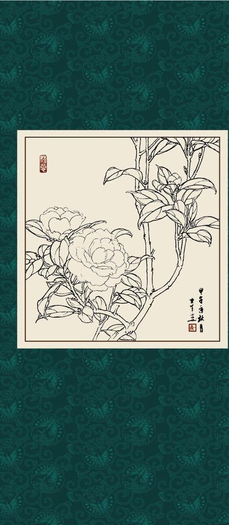 白描茶花图片