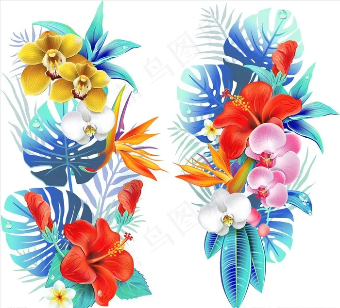 热带花图片psd模版下载