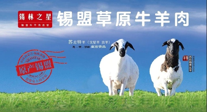 草原牛羊肉海报图片