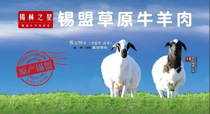 草原牛羊肉海报图片