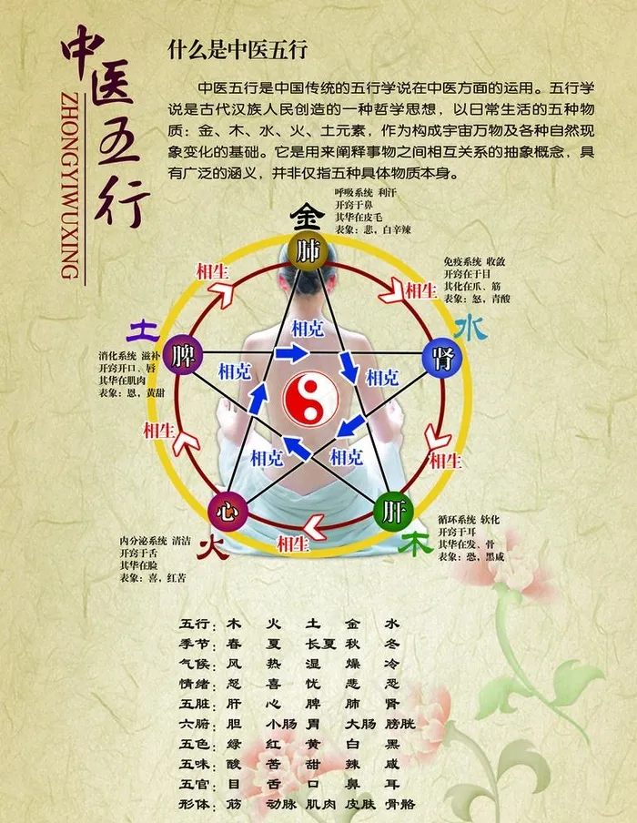 中医五行图片psd模版下载
