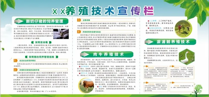 养殖技术宣传栏图片cdr矢量模版下载
