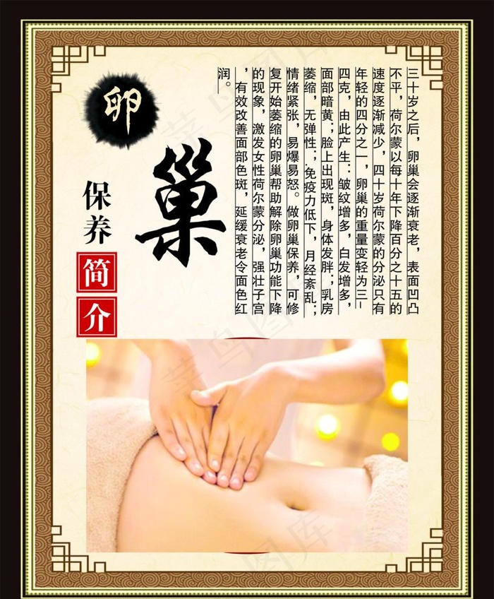 卵巢图片psd模版下载