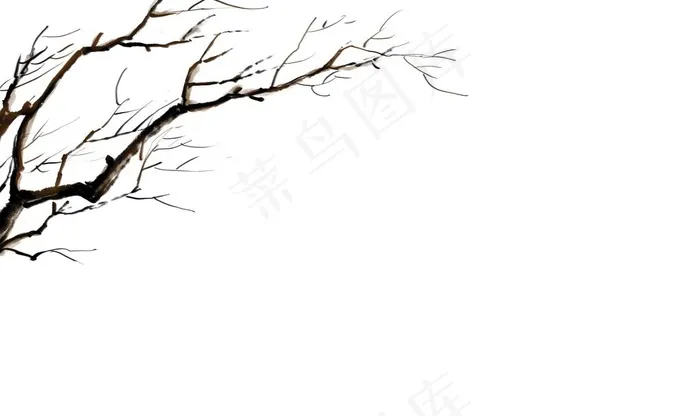 树枝图片psd模版下载