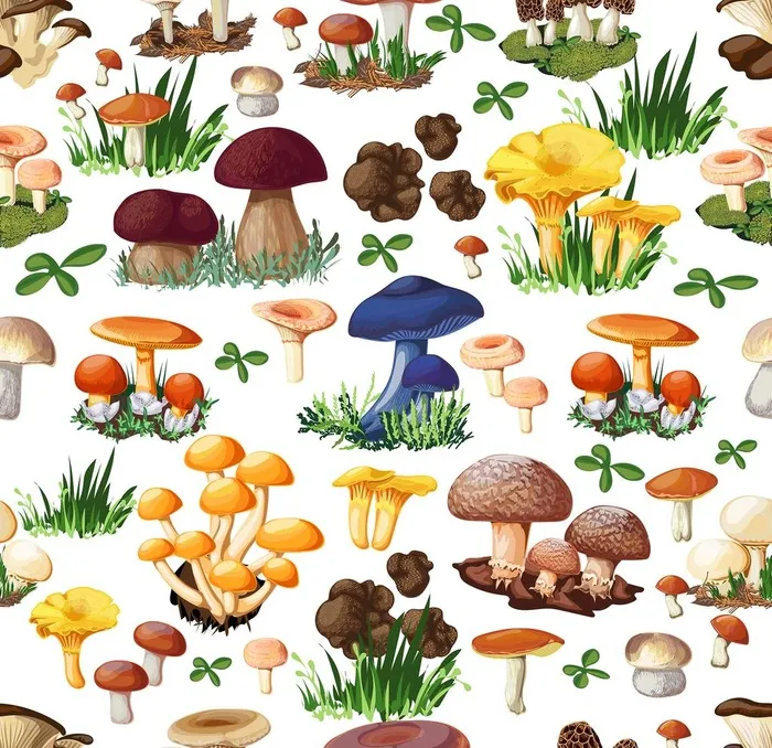 香菇  图片eps,ai矢量模版下载