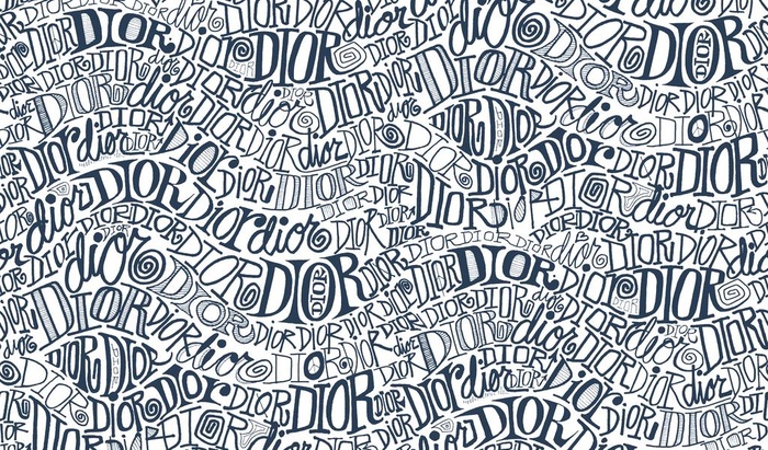 迪奥 大牌 无缝 DIOR图片