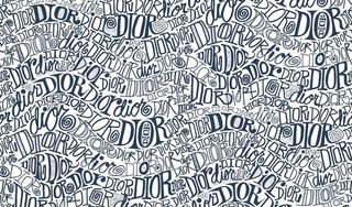 迪奥 大牌 无缝 DIOR图片