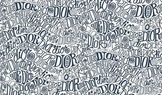 迪奥 大牌 无缝 DIOR图片