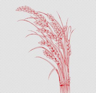 手绘五谷杂粮图片