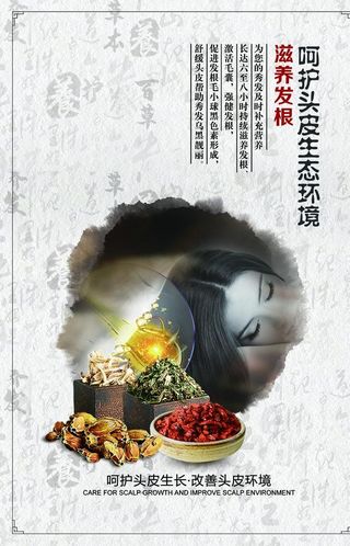 养发海报  中药调养 边框图片