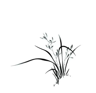 水墨兰花图片