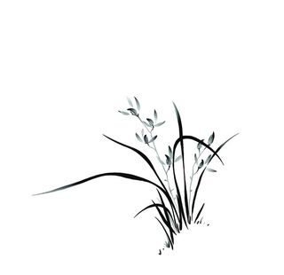 水墨兰花图片