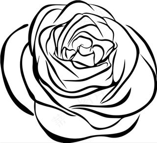 玫瑰花朵素材图片