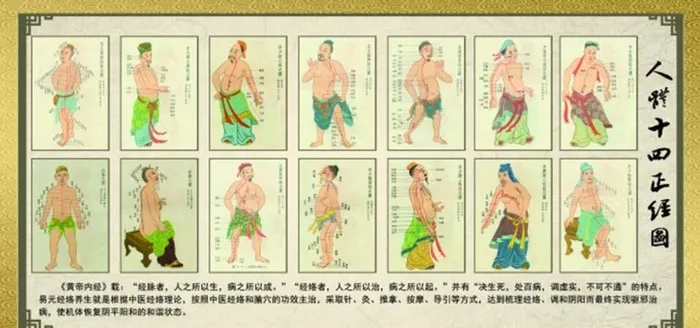 人体十四正经图图片(6803x3402)psd模版下载