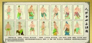 人体十四正经图图片