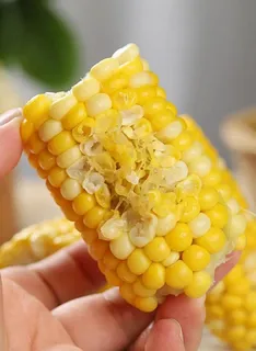 新鲜的水果玉米图片 新鲜的水果玉米图片