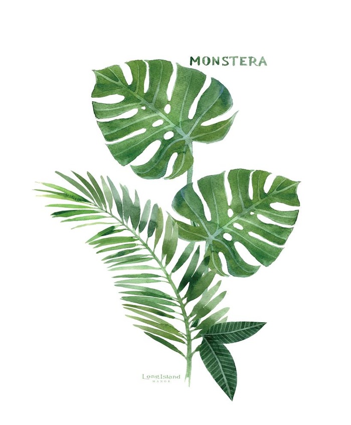 高清绿叶装饰画图片