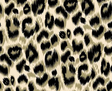 豹纹图片 豹纹图片