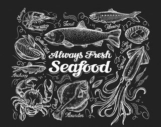 素描手绘海鲜食材插画图片