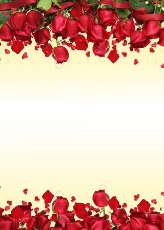 玫瑰花海报背景图图片