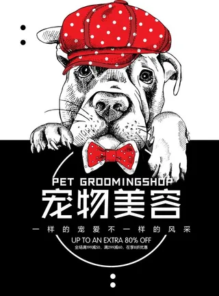 宠物美容图片