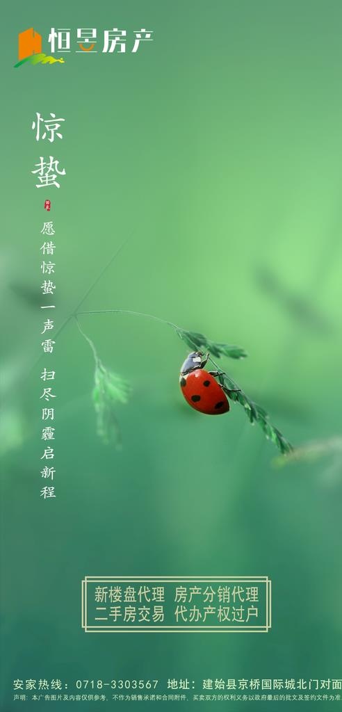 惊蛰地产图片(900x1758)psd模版下载