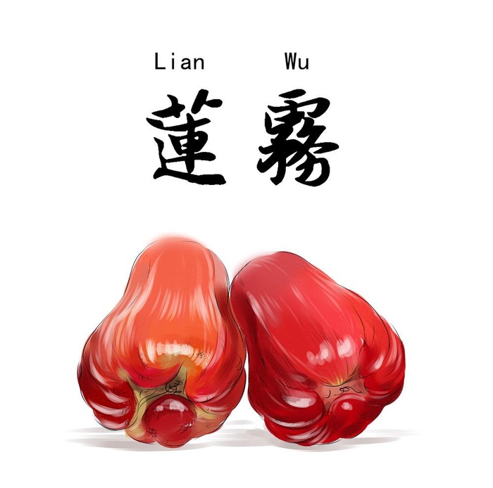 莲雾手绘素材图片(3238x3312)psd模版下载