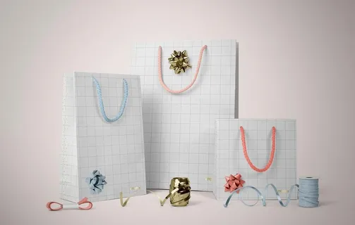 袋子样机模板图片