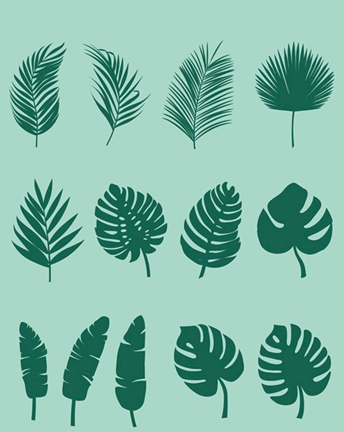 树叶剪影 系列01图片