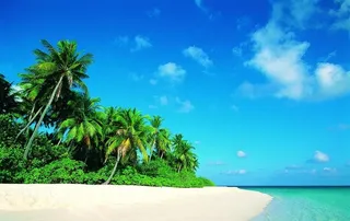 美丽的海边风景图片