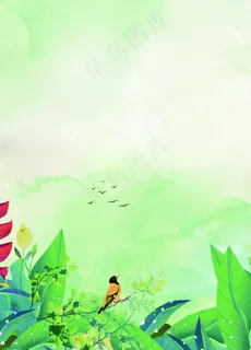 绿色背景图片