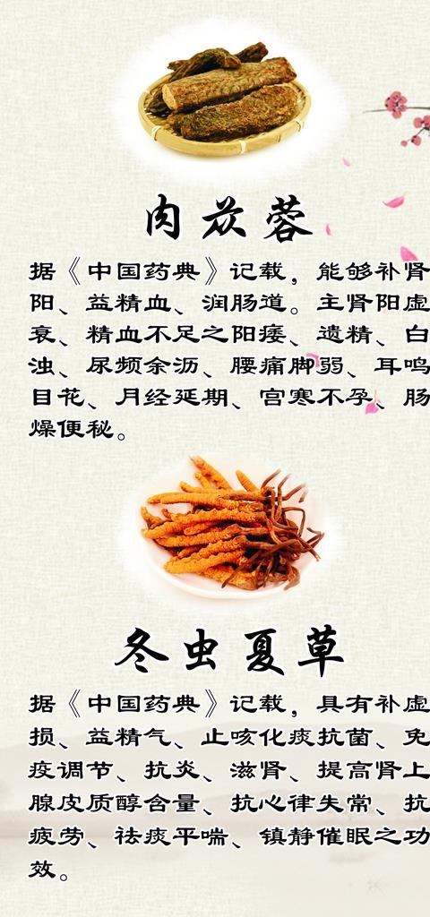 冬虫夏草图片cdr矢量模版下载