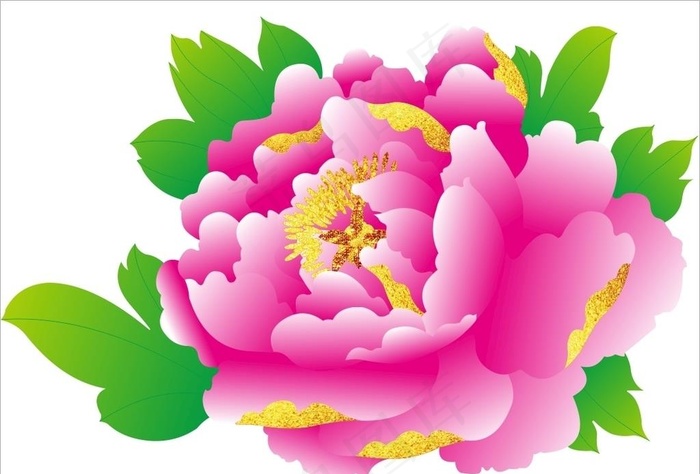 牡丹花 上陆图片