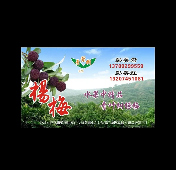 杨梅图片cdr矢量模版下载