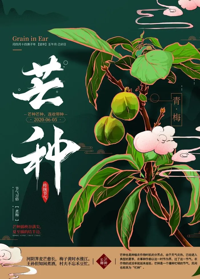 芒种图片(4252x5669)psd模版下载