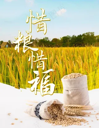 节约粮食海报图片