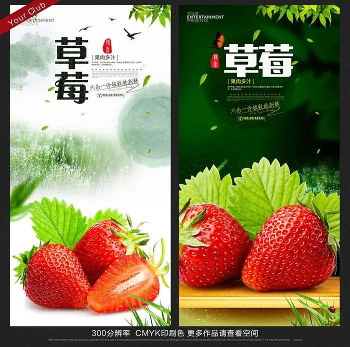 草莓图片(3000x6000)psd模版下载
