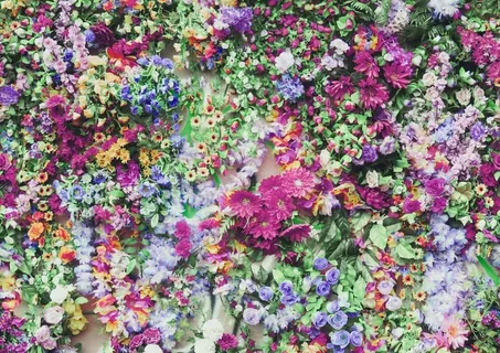 水彩花图片 水彩花图片