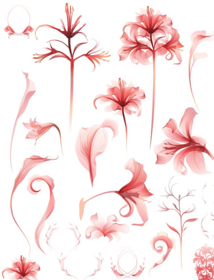 手绘红色小花图片