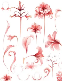 手绘红色小花图片 手绘红色小花图片