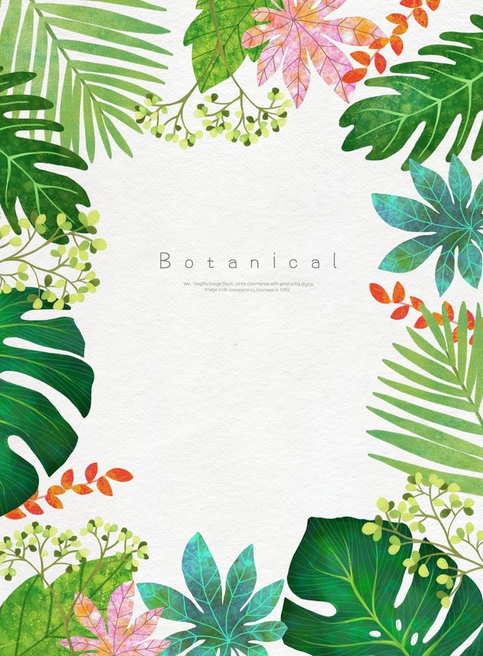 热带植物背景图片