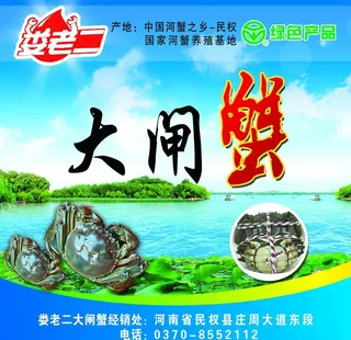 大闸蟹 不干胶图片