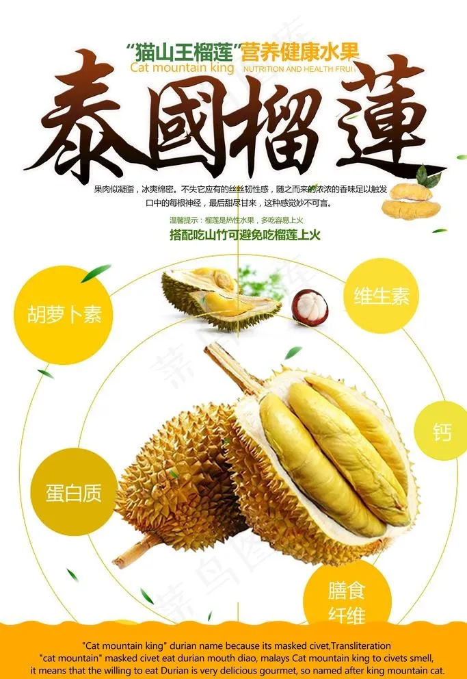 榴莲图片psd模版下载