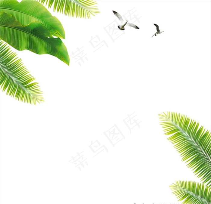 热带树叶图片psd模版下载
