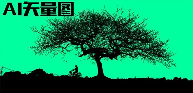 树木 森林图片 树木 森林图片